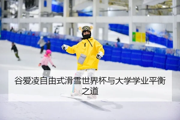 gu-ai-ling-zi-you-shi-hua-xue-shi-jie-bei-yu-da-xue-xue-ye-ping-heng-zhi-dao-3-341.jpg