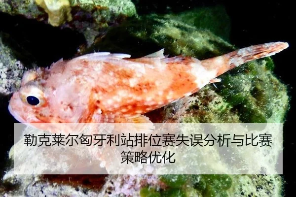 lei-ke-lai-er-xiong-ya-li-zhan-pai-wei-sai-shi-wu-fen-xi-yu-bi-sai-ce-lve-you-hua-3-379.jpg