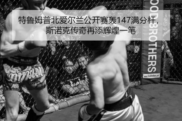 特鲁姆普北爱尔兰公开赛轰147满分杆，斯诺克传奇再添辉煌一笔