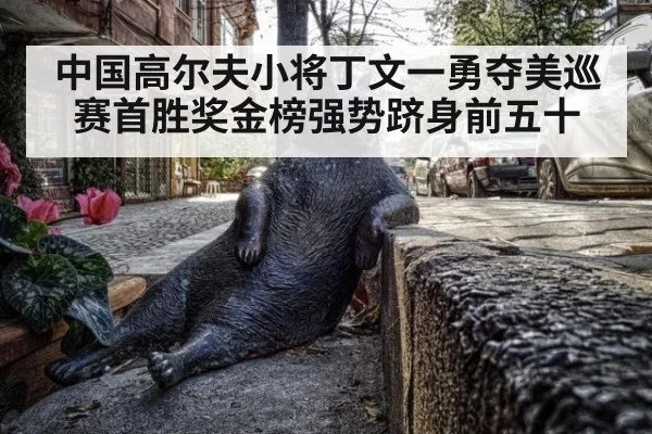 中国高尔夫小将丁文一勇夺美巡赛首胜奖金榜强势跻身前五十