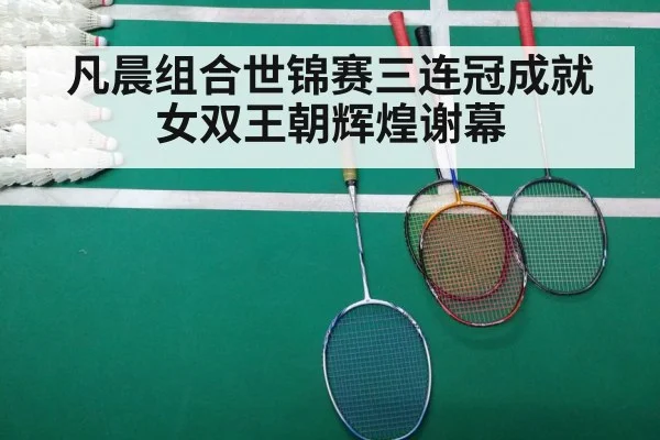 badminton final match