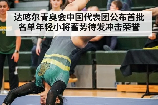 达喀尔青奥会中国代表团公布首批名单年轻小将蓄势待发冲击荣誉