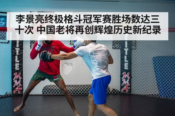 UFC fight